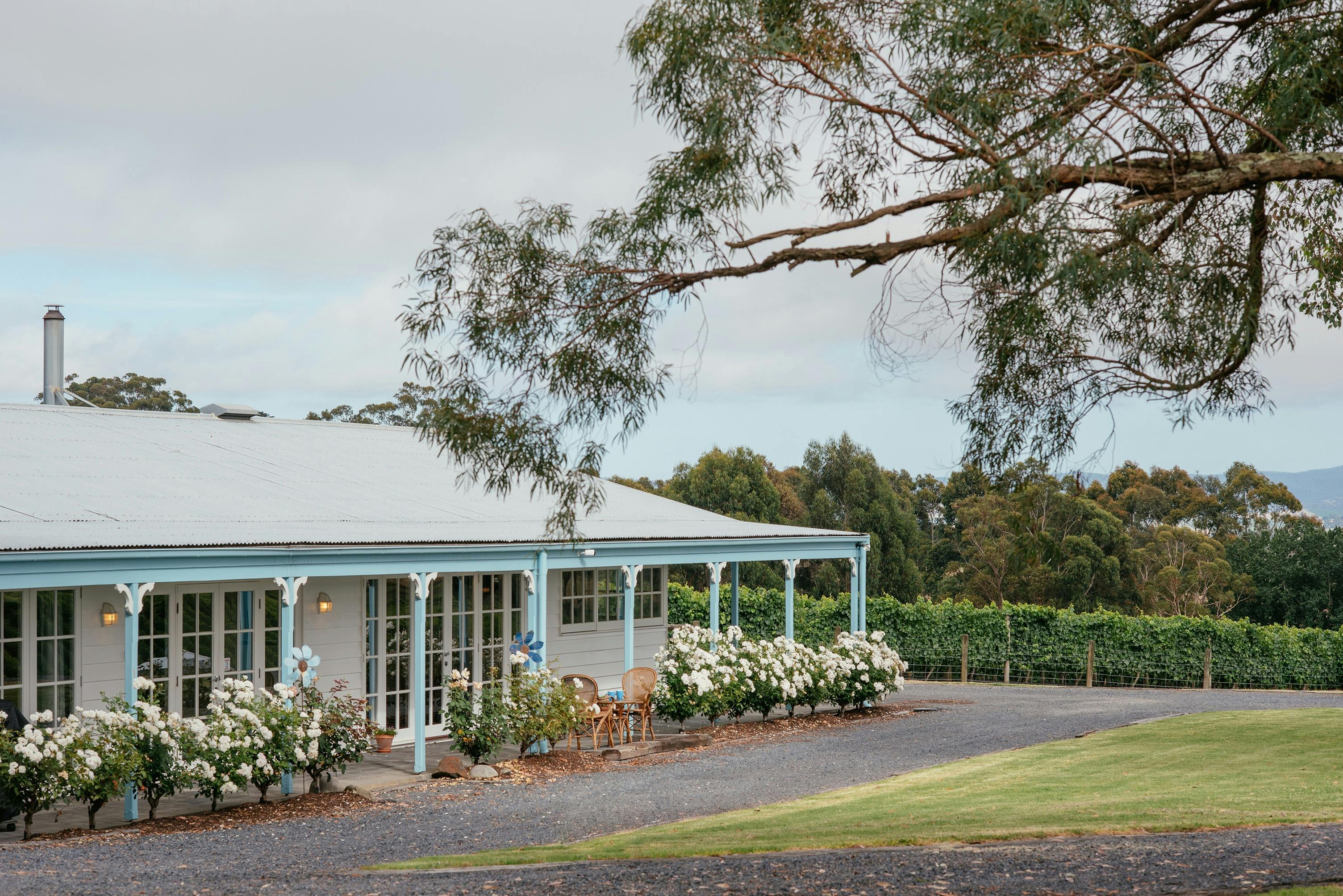 Ville d'Soumah is a 3-bedroom house located in the vineyard