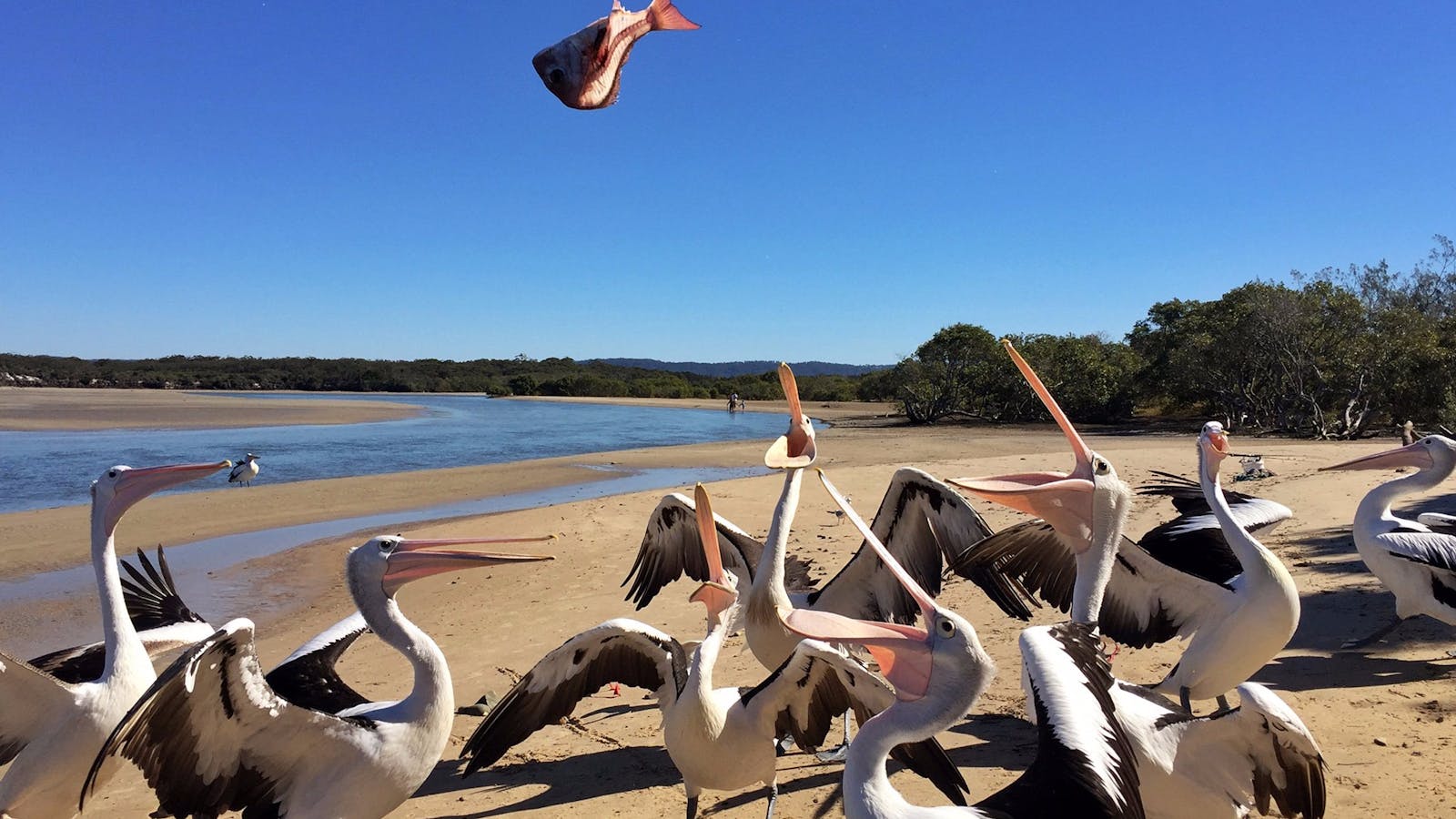 Sandon River