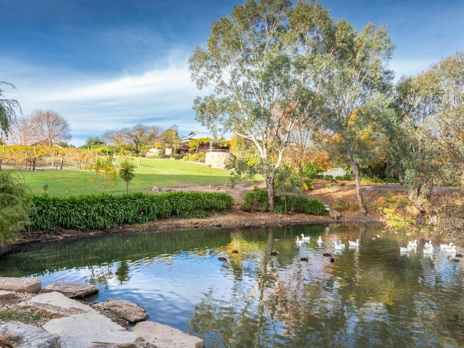 Mount Hurtle Winery Cellar door