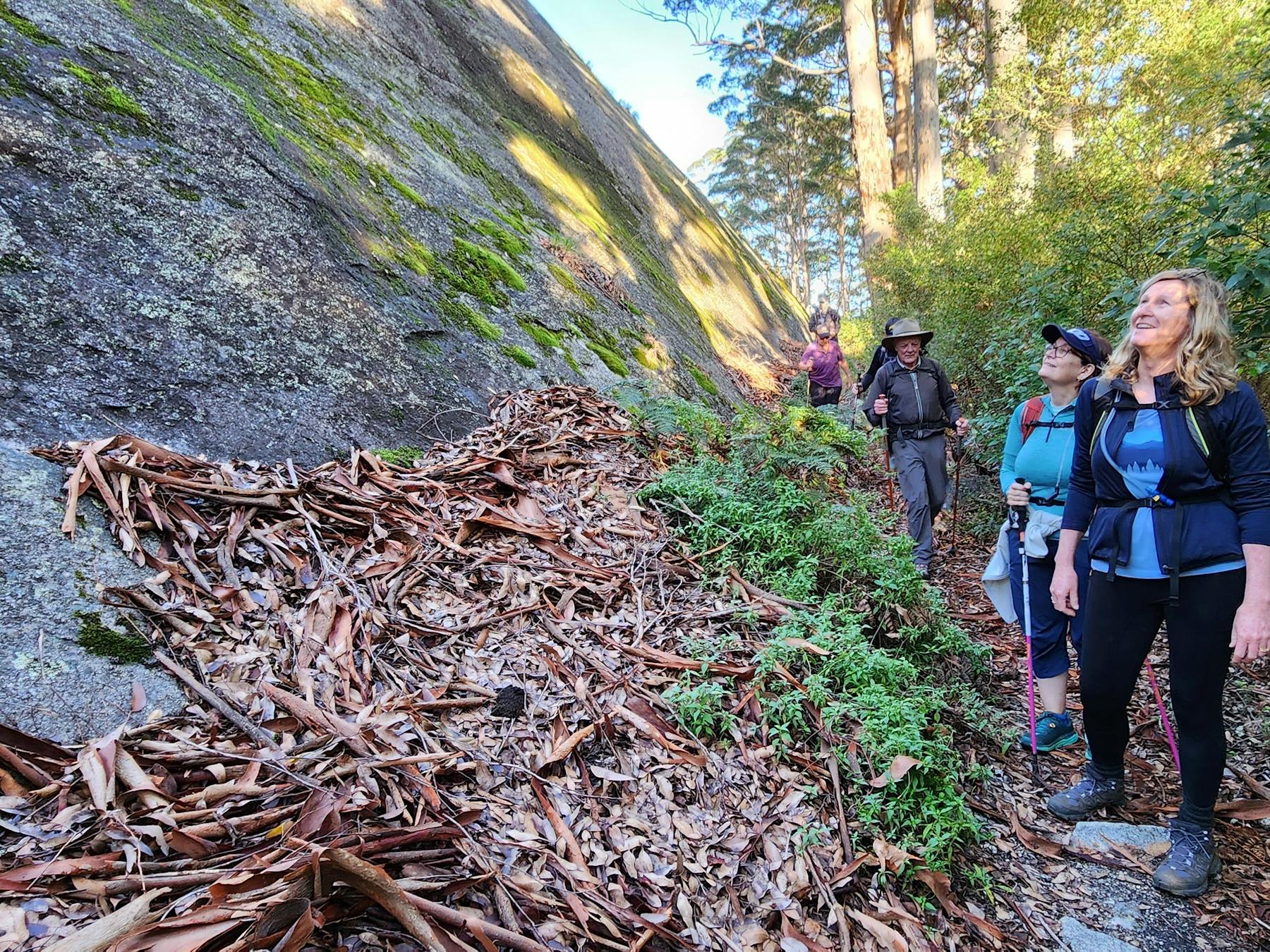 Hikers standing at base of Mt Frankland giant granite dome