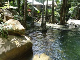 looking at Daintree Secrets across the swimming hole