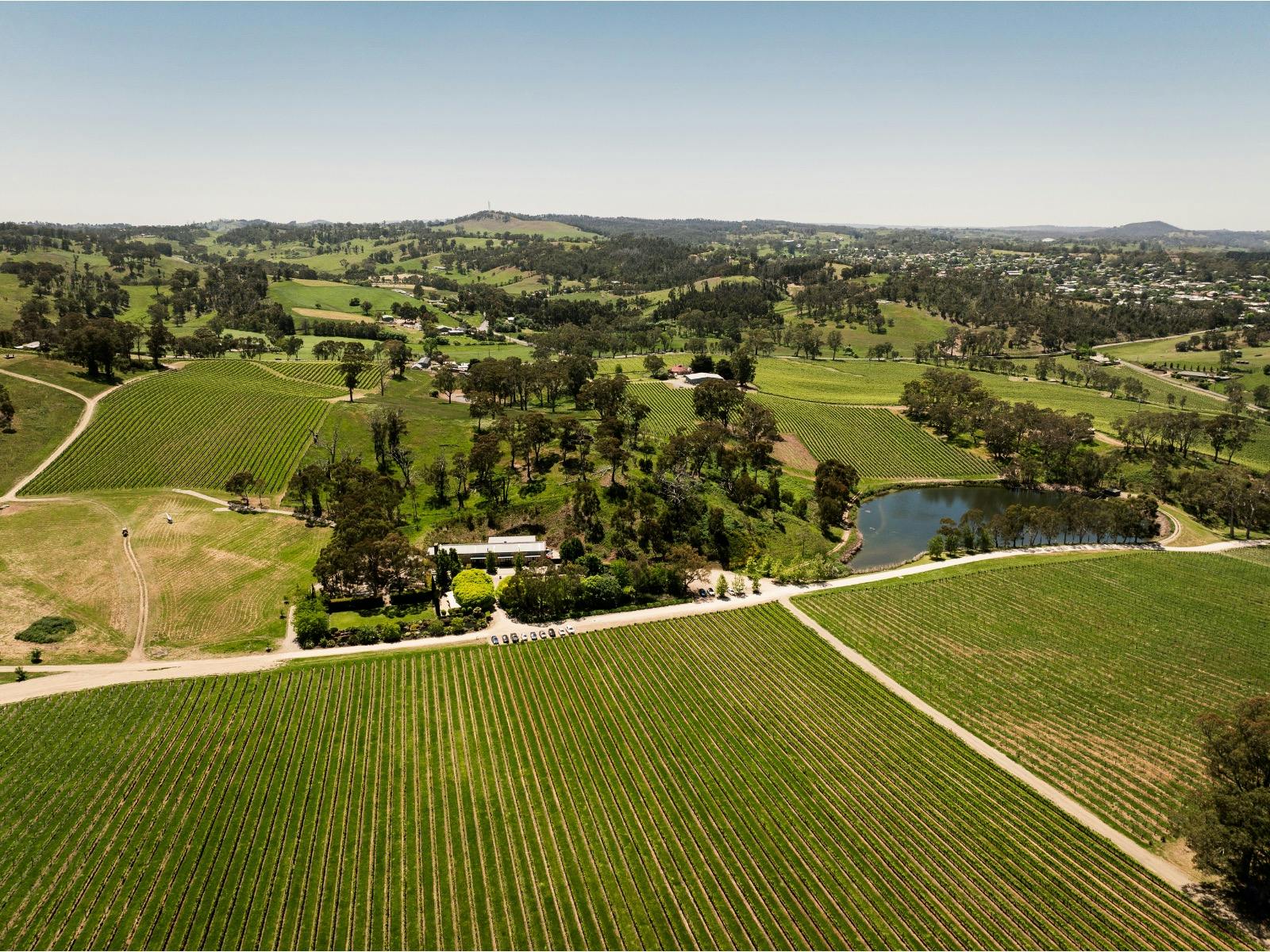 There is a view from above of vineyards, cellar door buildings, a dam and distant hills.