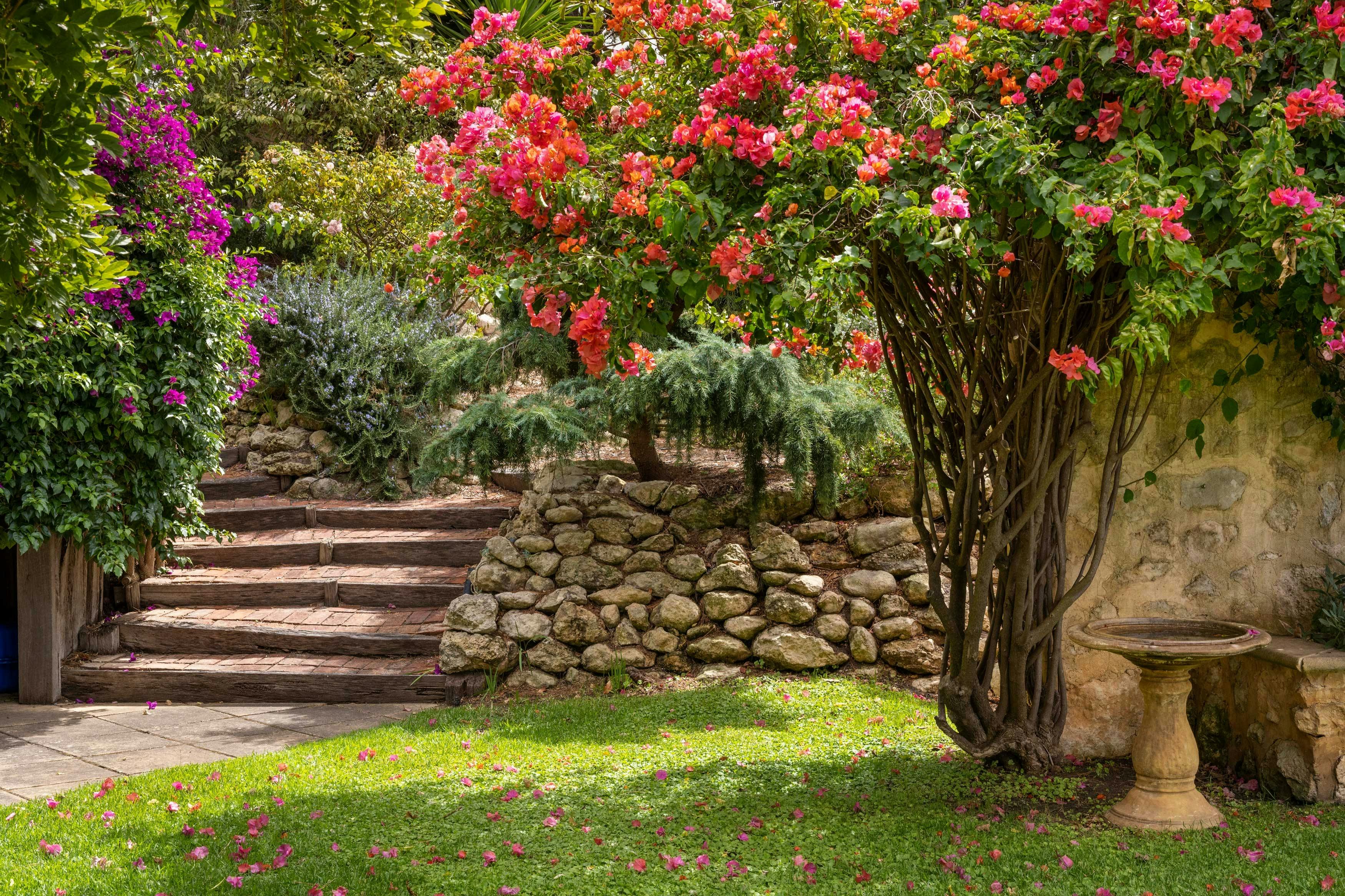 Bec Hardy Wines Weddings