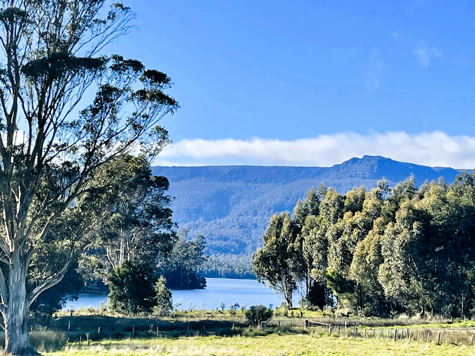 Views of Lake