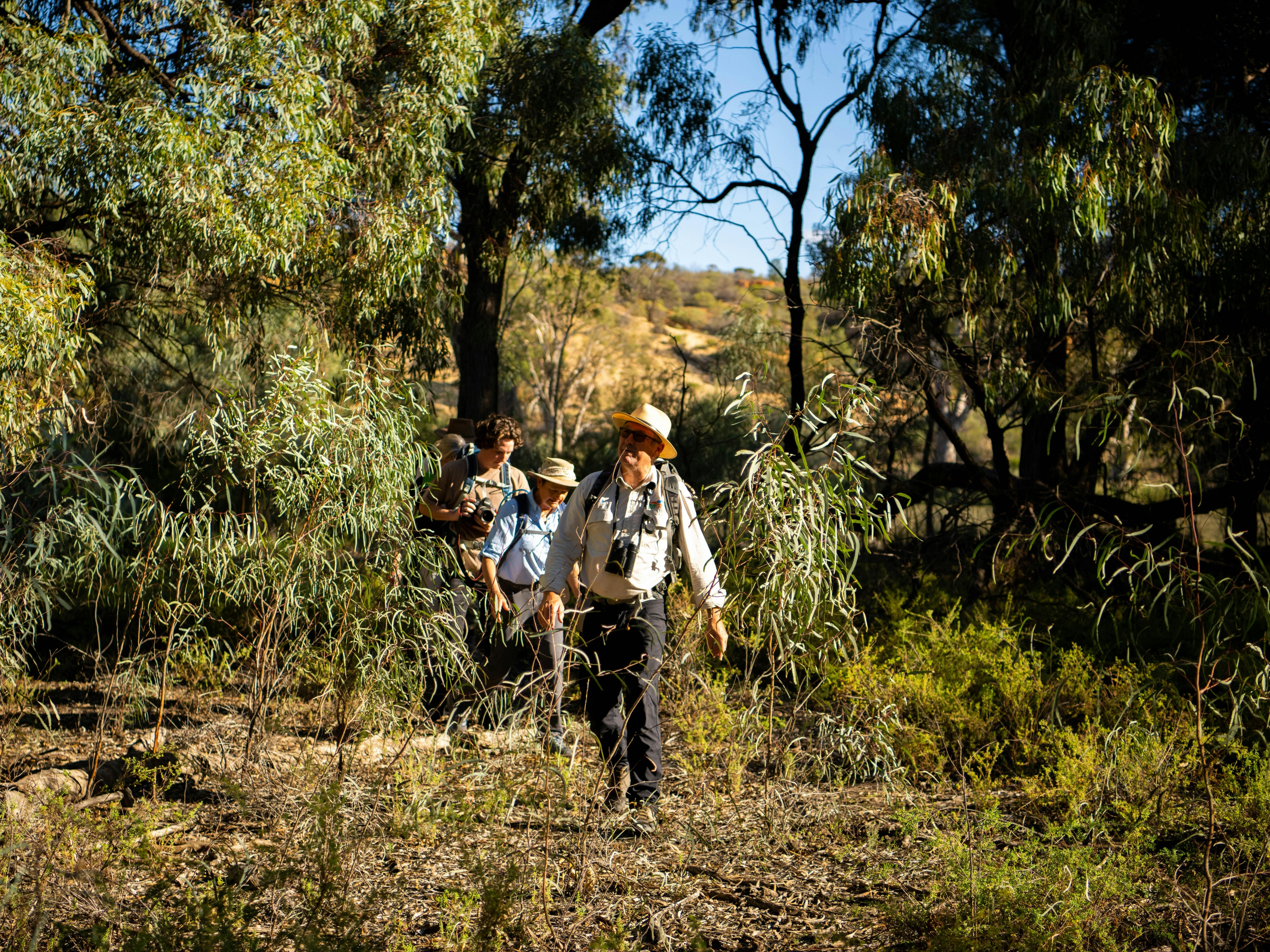 A guide leads a group through the bush on the Murray River