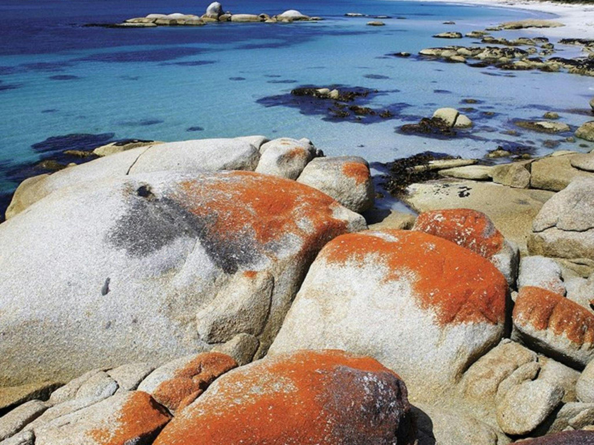 Mt William National Park coastline