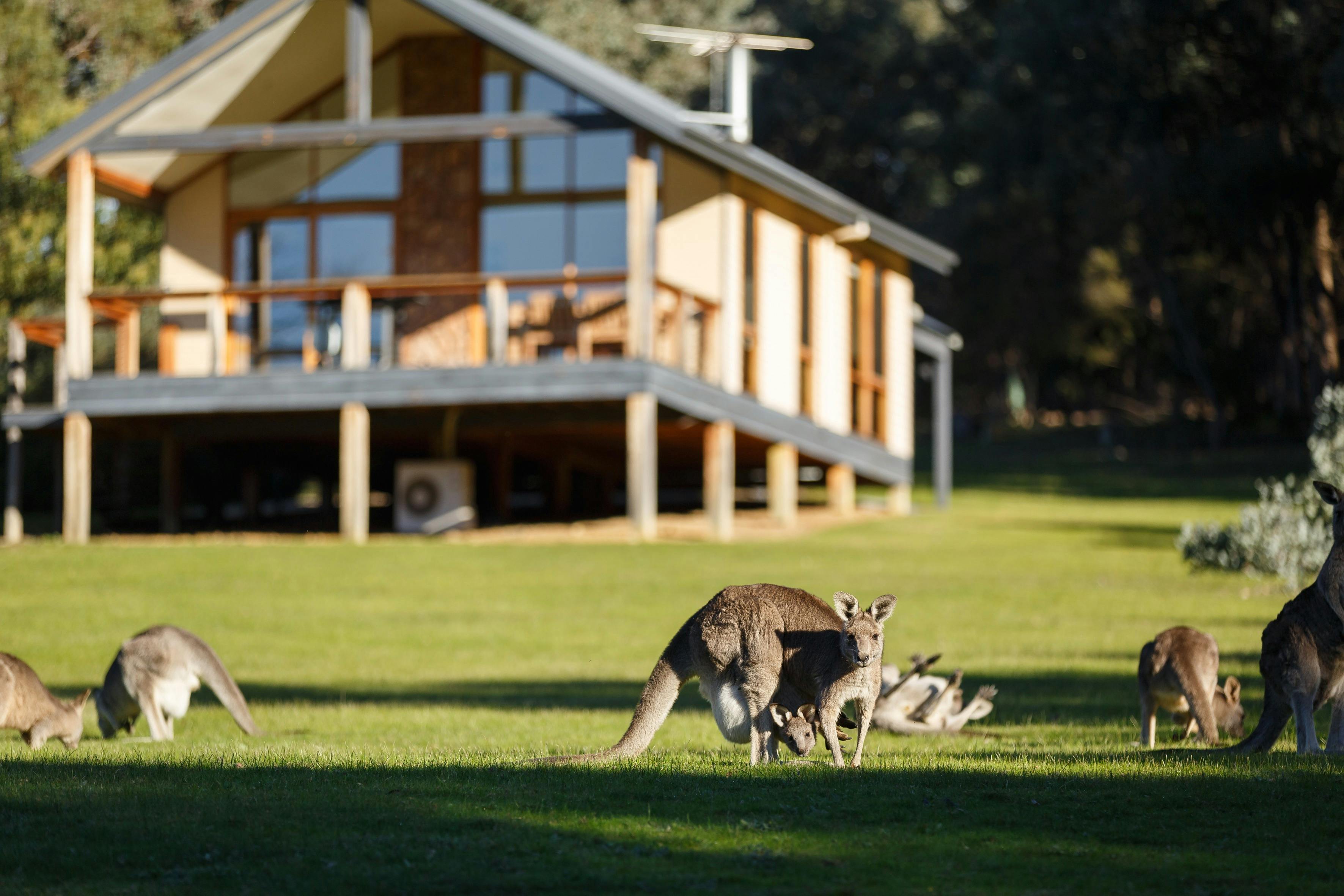 The Yarra Valley Romantic Getaway
