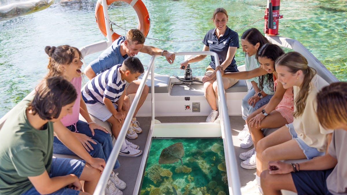 Glass Bottom Boat - Sea World
