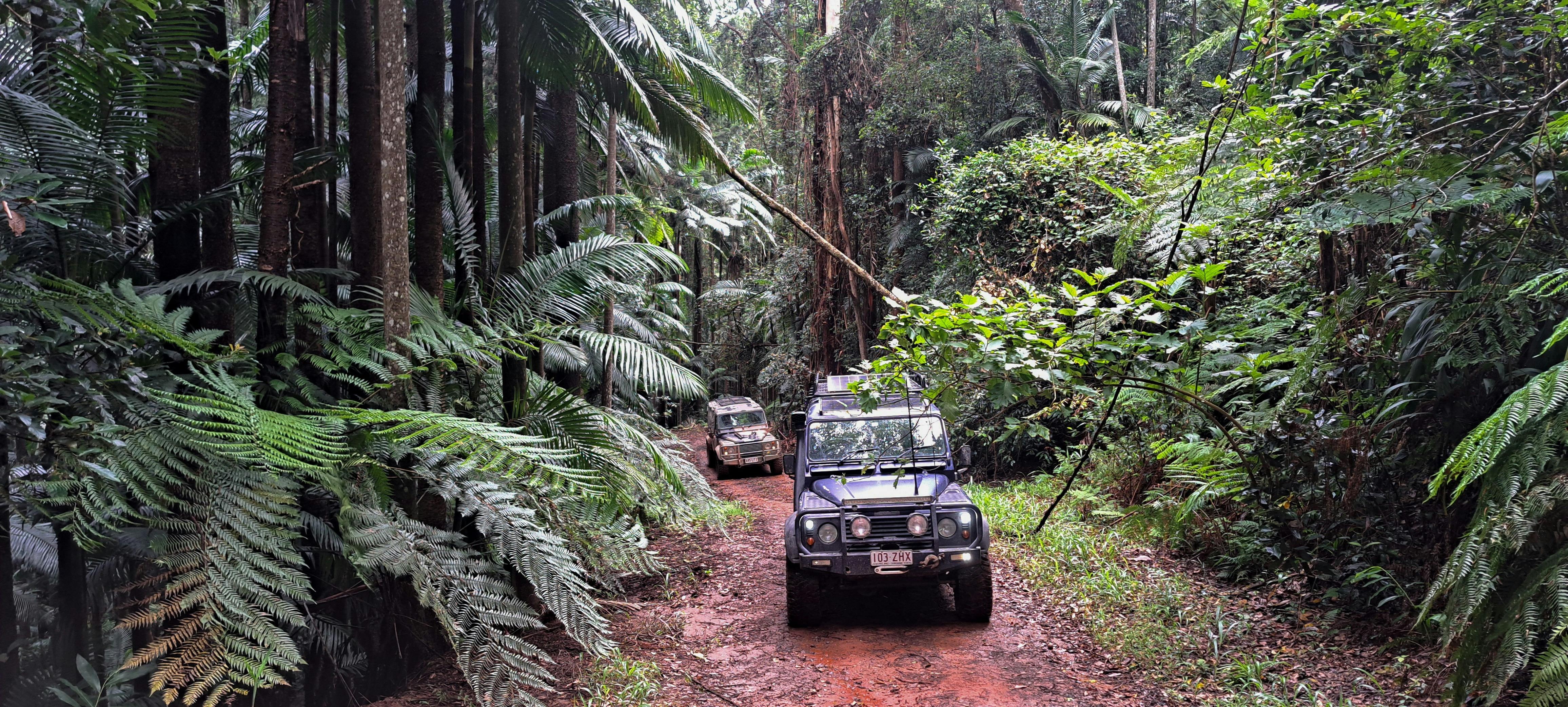 Conondale National Park