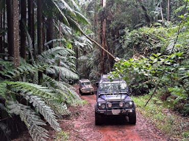Conondale National Park Conondale National Park