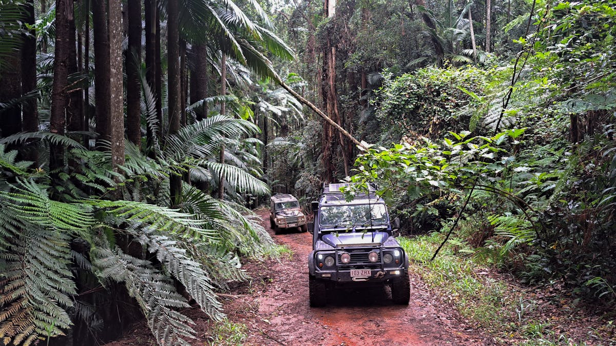 Conondale National Park