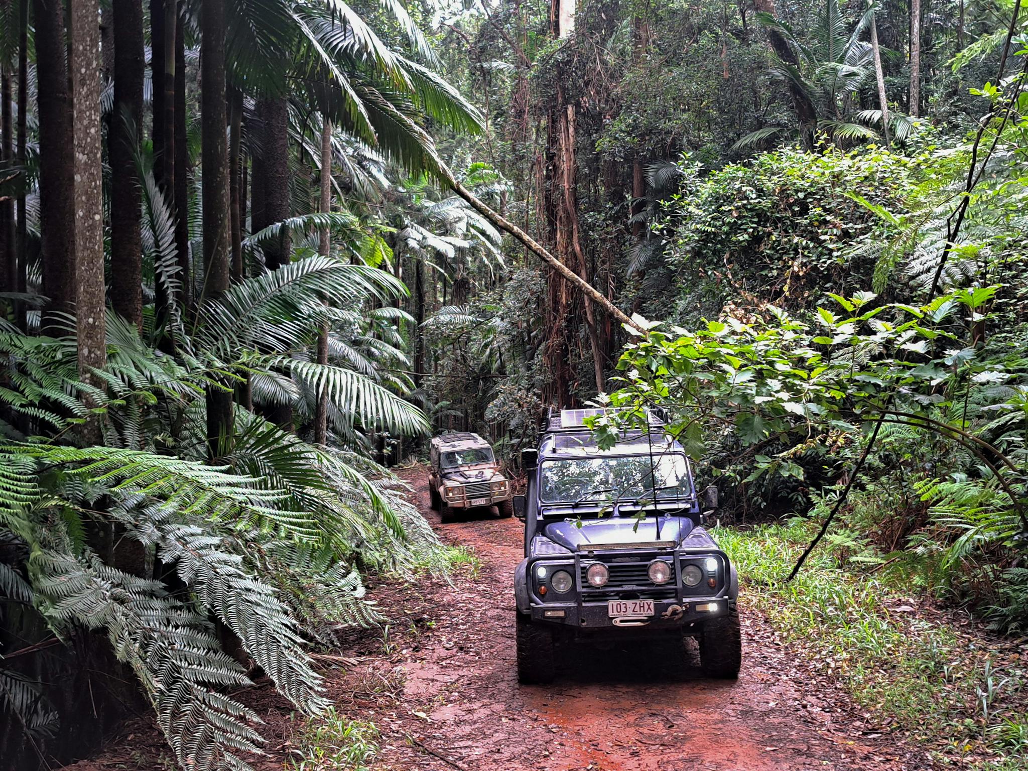 Conondale National Park Conondale National Park