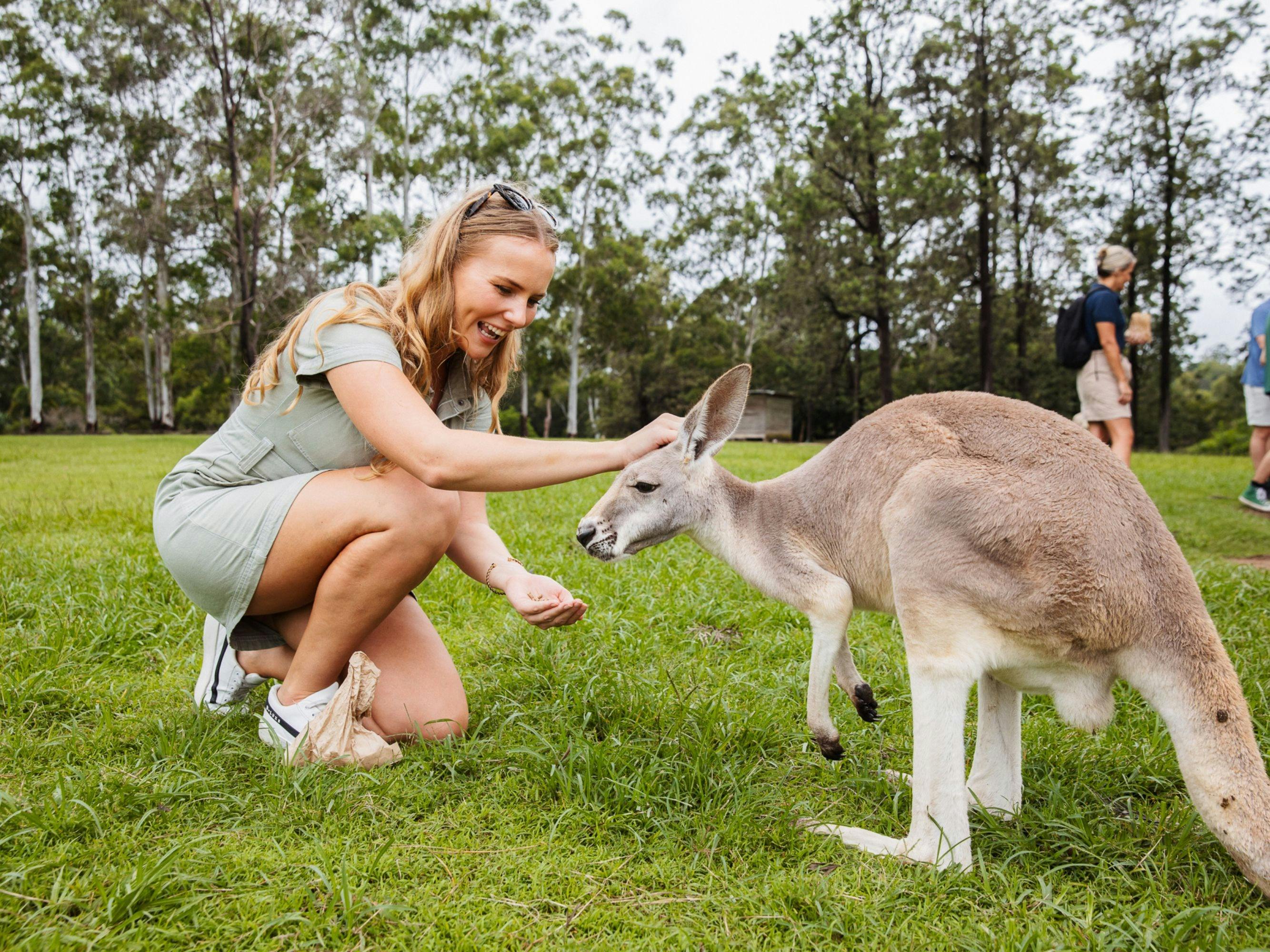 Brisbane wildlife experiences