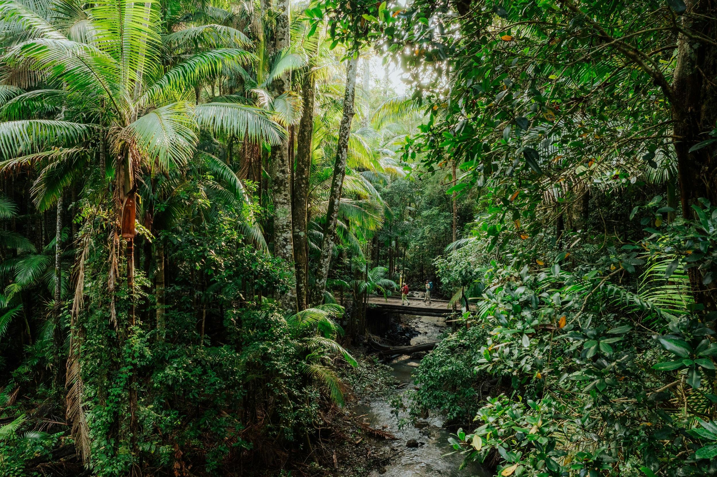 吉朱姆·古爾加尼步行街