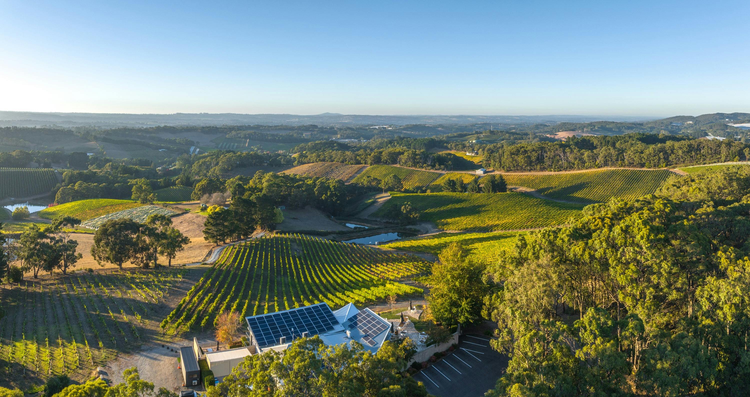 Exceptional views of the Adelaide Hills.  Restaurant & Cellar Door. Weddings, Corporate functions