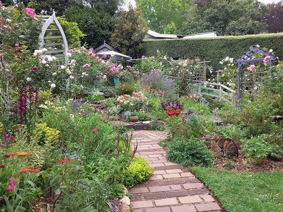 OGV Garden Opening - The Nook