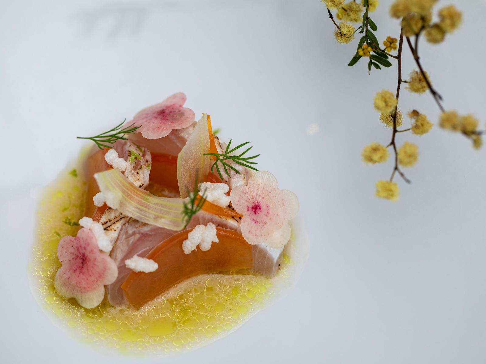 cured hiramasa sashimi with an umeboshi plum vinaigrette