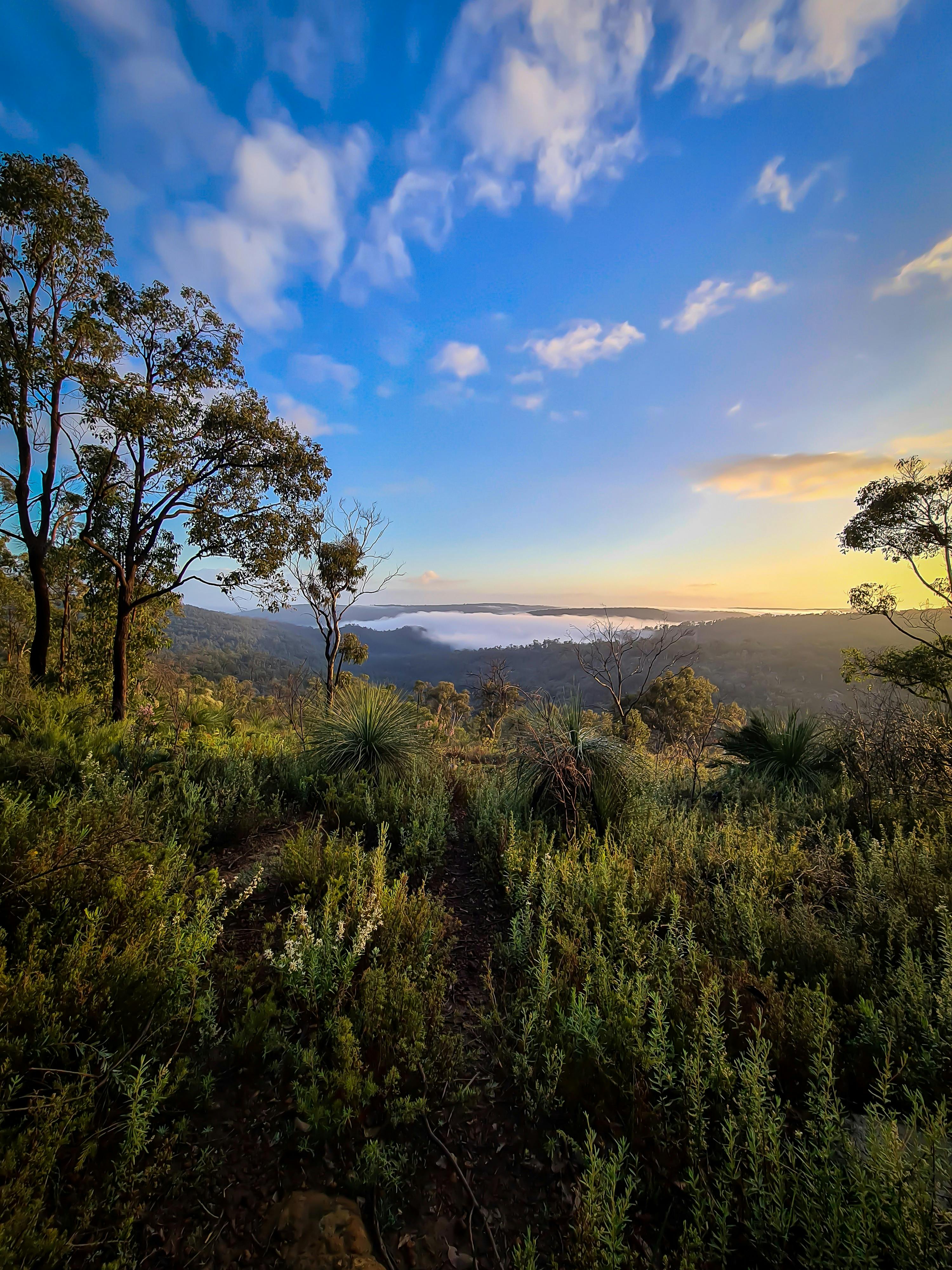 Kalamunda National Park