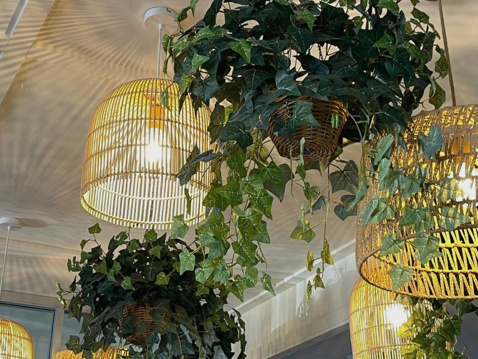 lighting and plants on a roof indoors