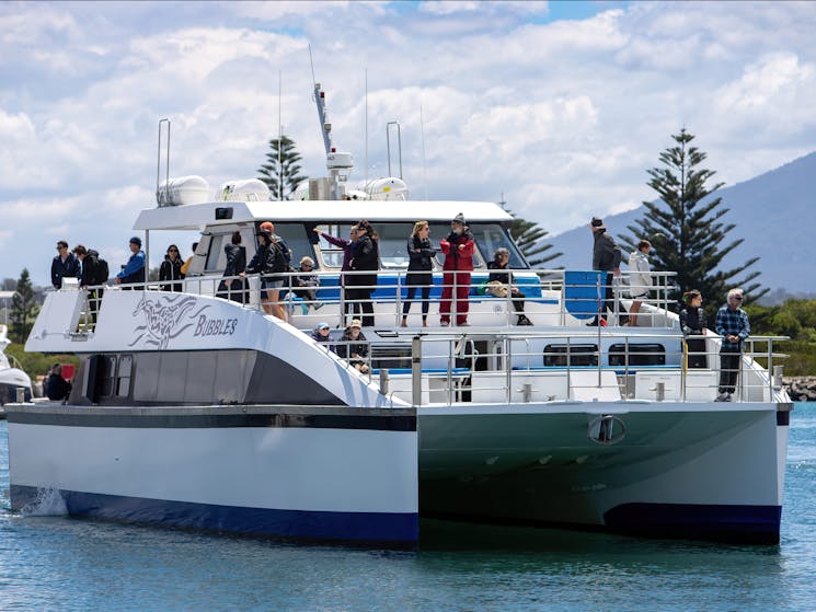 Our Whale Watching Boat Bubbles in Bermagui Harbour 2021