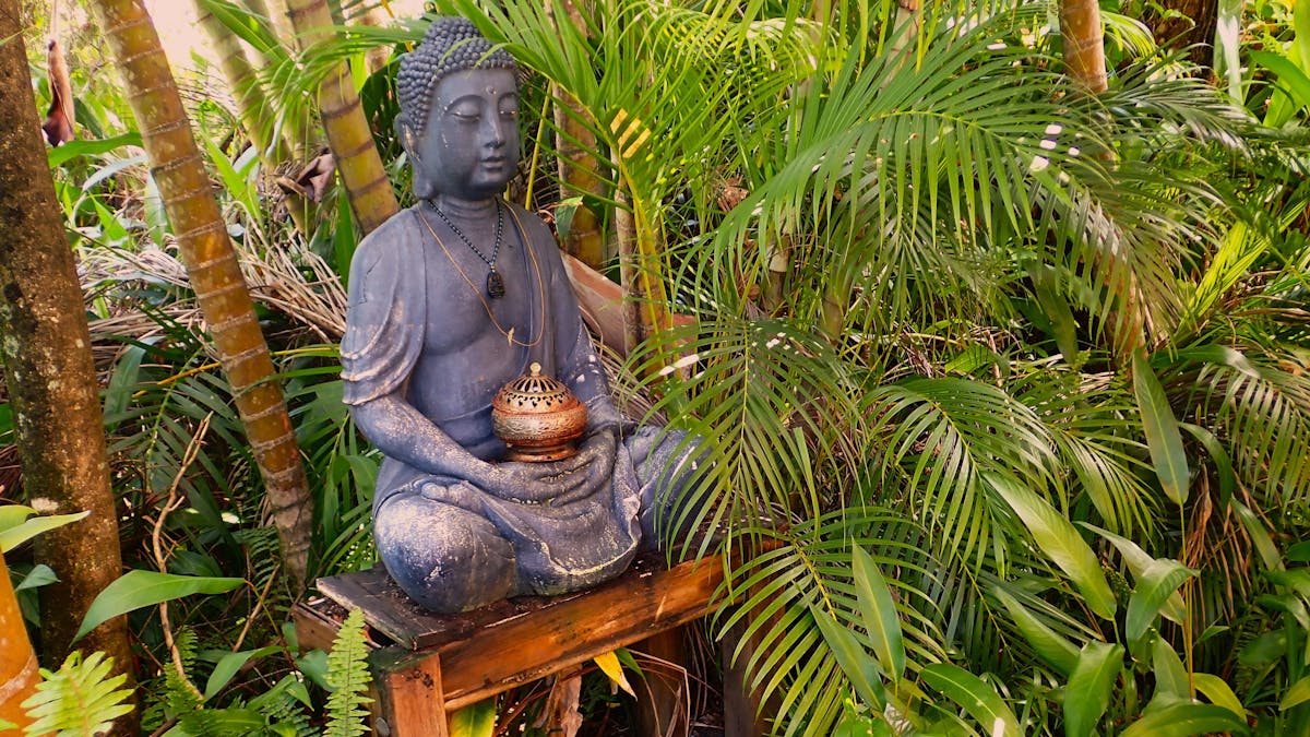 Garden Buddha, Shanti Cafe , Mission Beach, Queensland