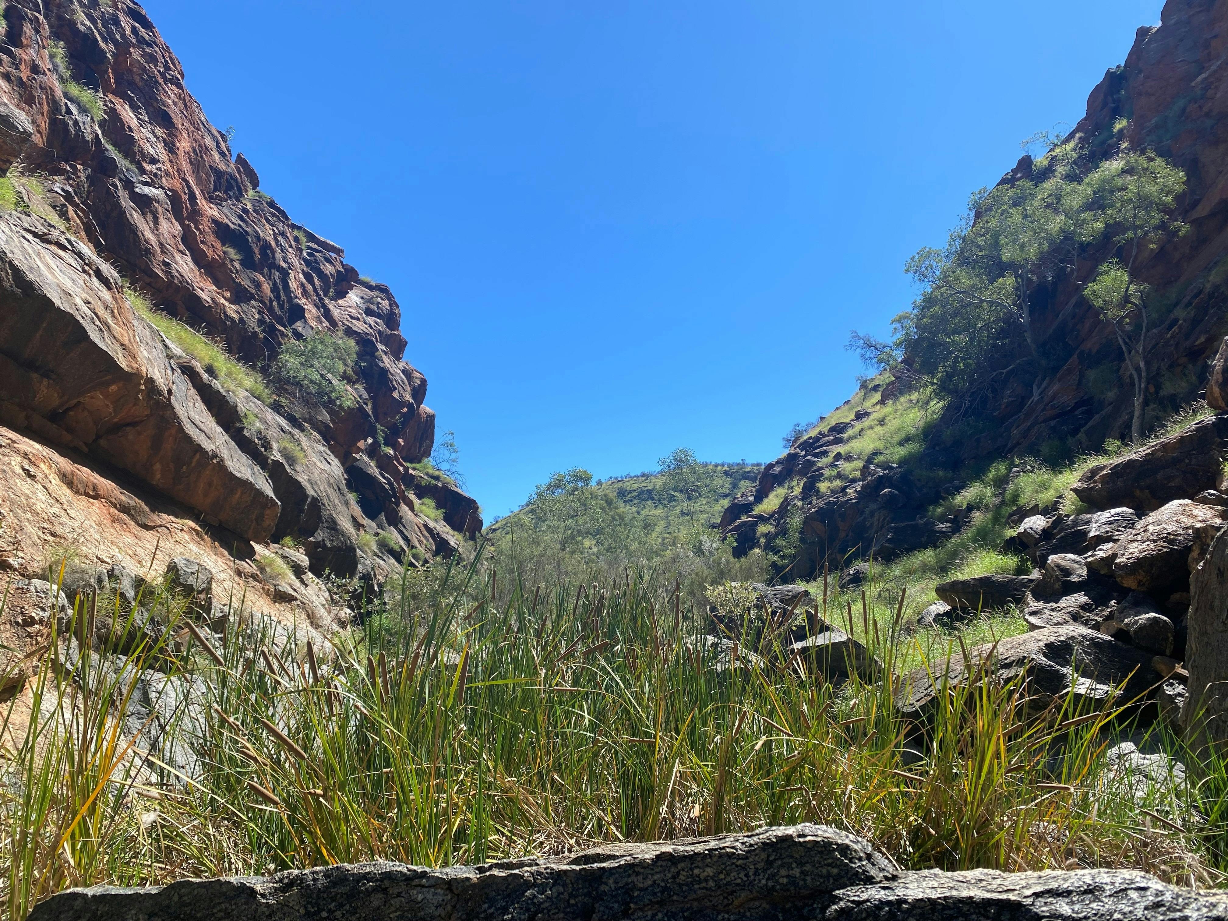 Wallaby Gap_Larapinta Trail