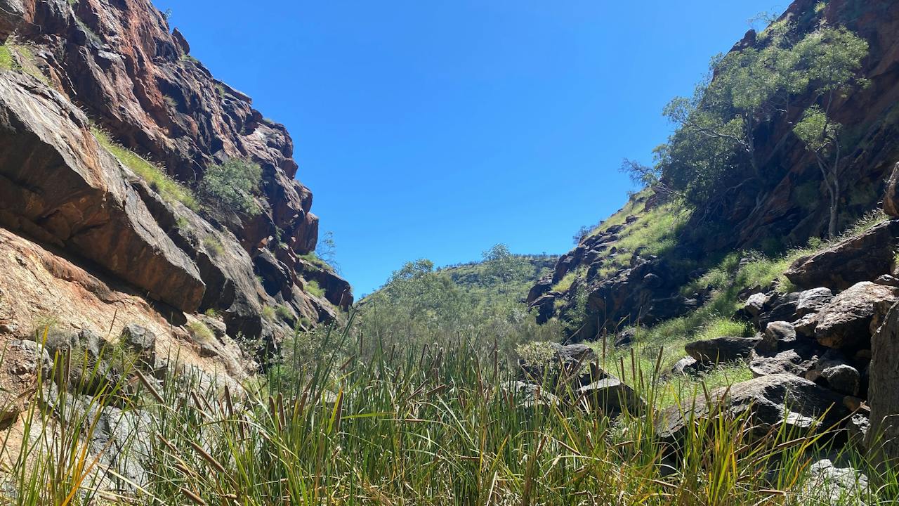 Wallaby Gap