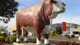 Rockhampton Bull Statues