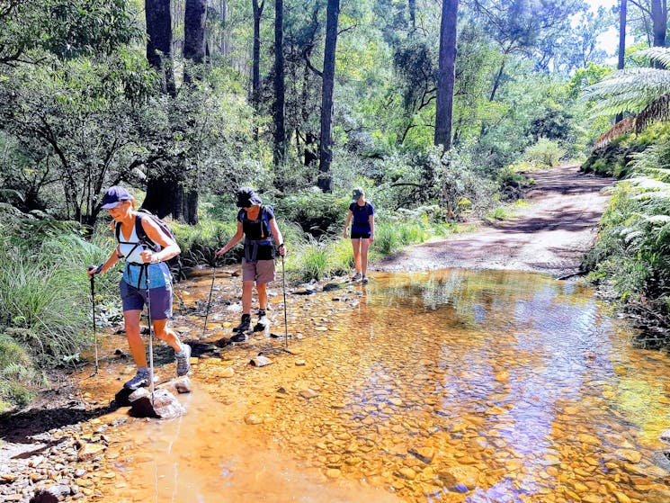 Braving the rapids on the Pack-Free Six Foot Track Walk by Life's an Aventure