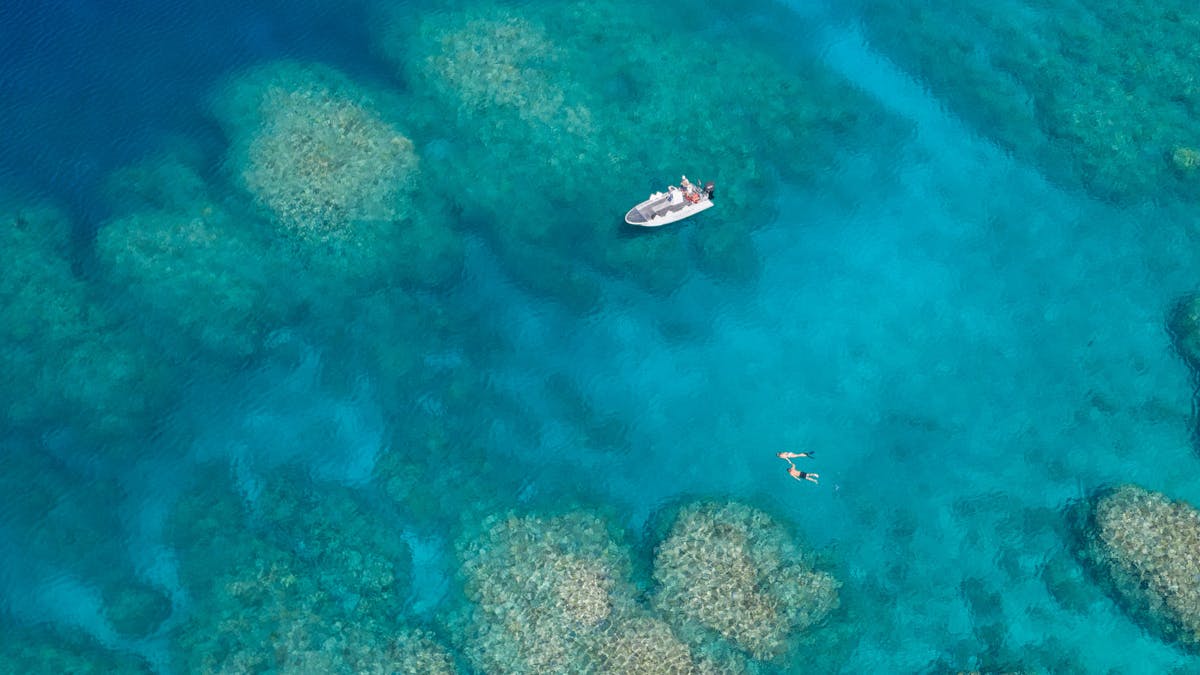 reef