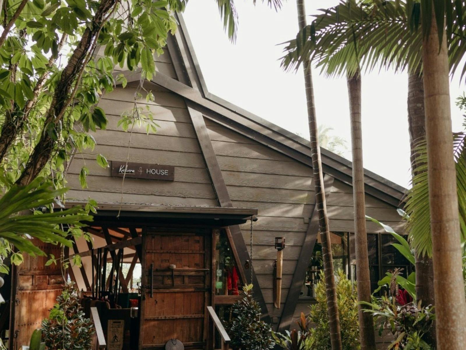large timber house space surrounded by palm trees and lush gardens