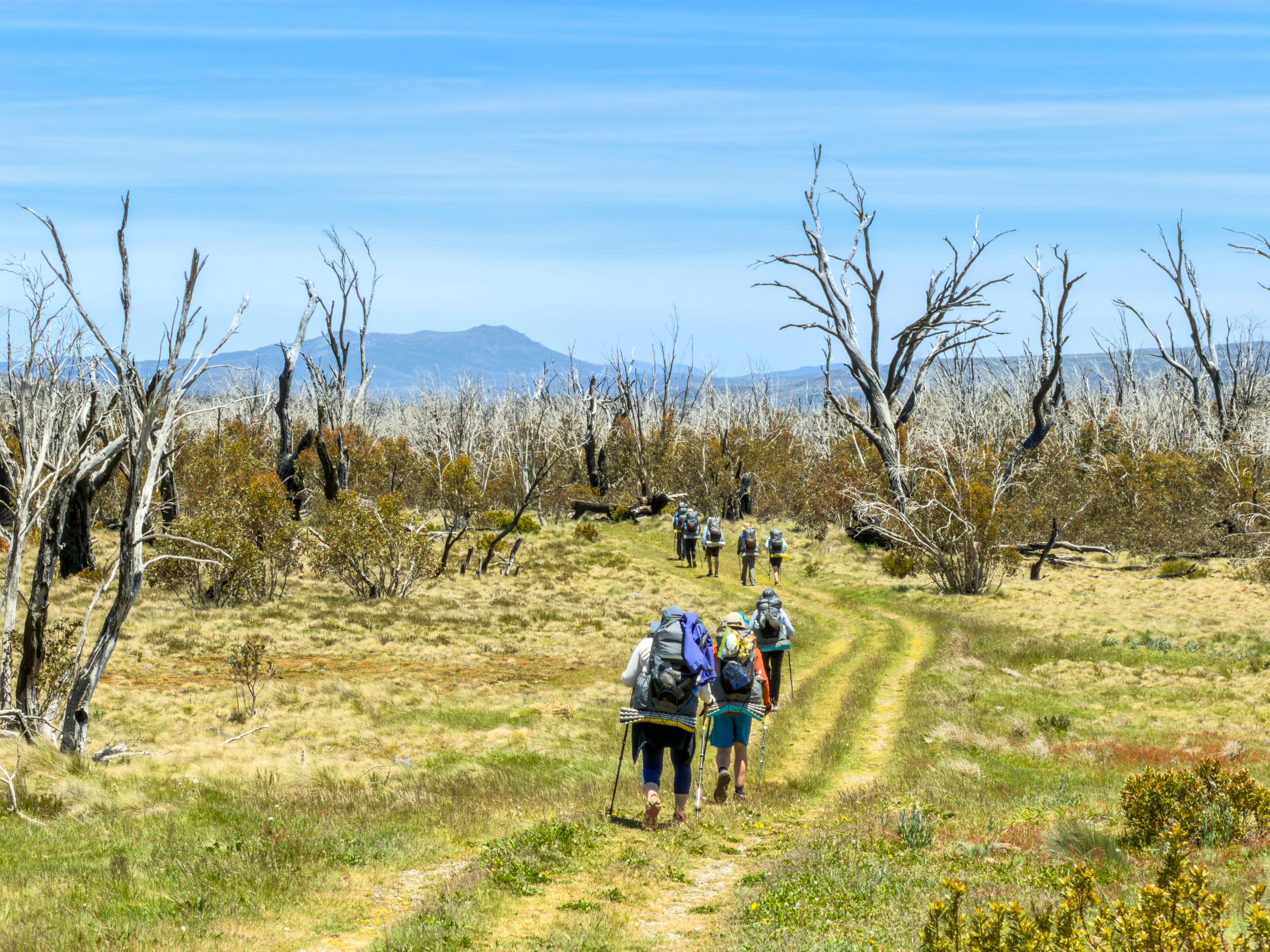 Tabletop Mountain Trail