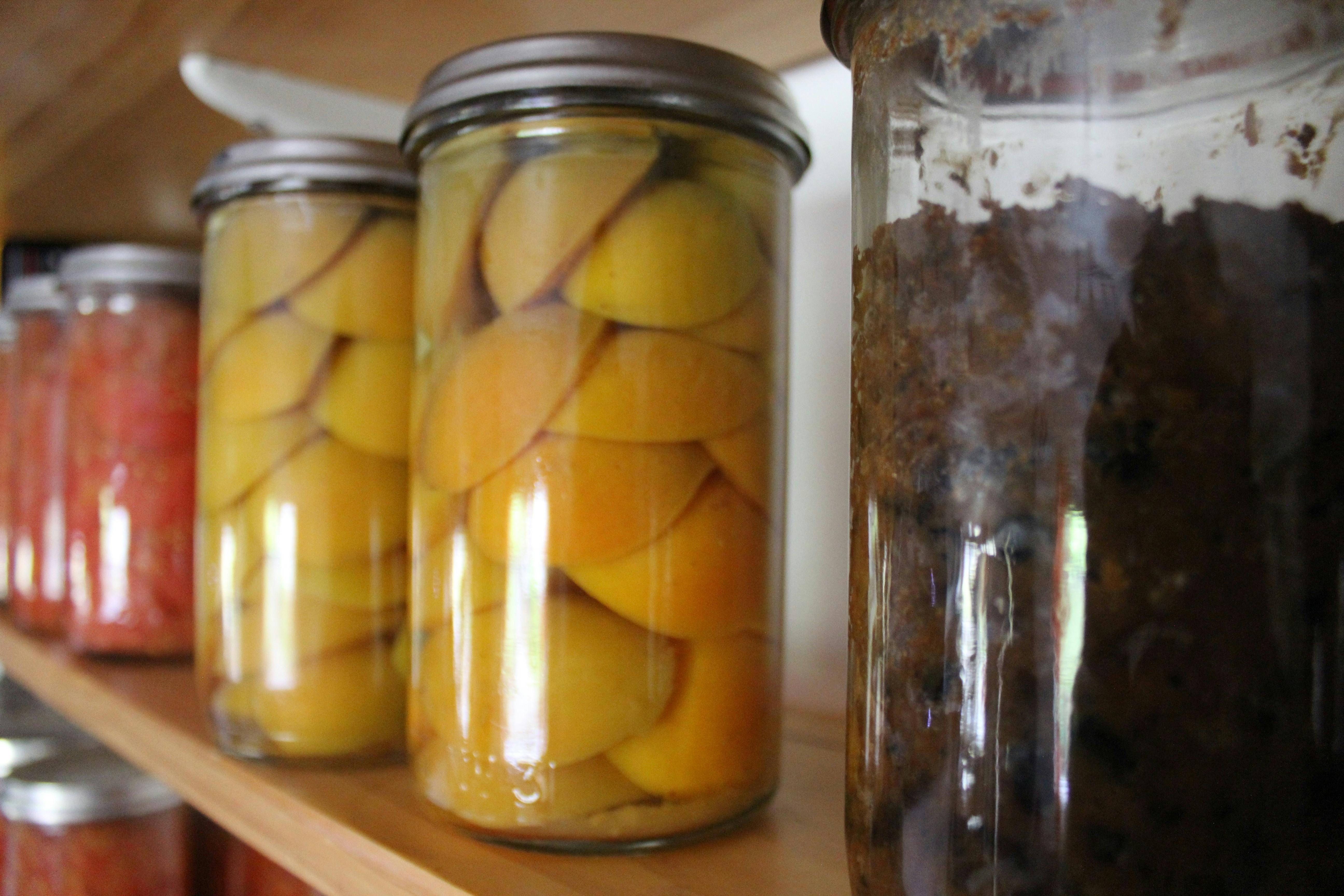 A Fowlers Vacola jar of apricots and a Christmas pudding on the shelf at Jacican in Mirboo North