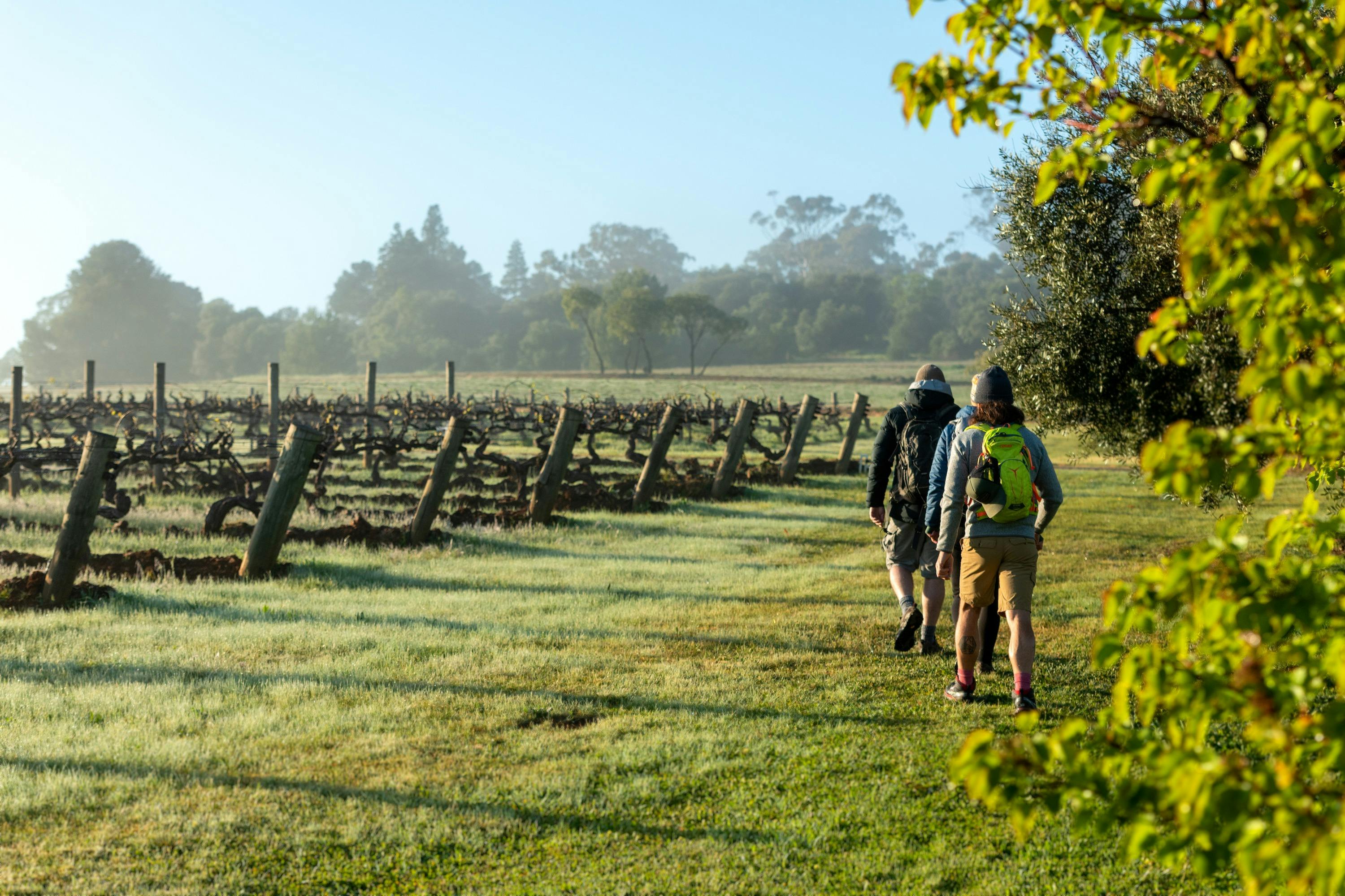 5 Day Clare Valley Wine & Wilderness Trail
