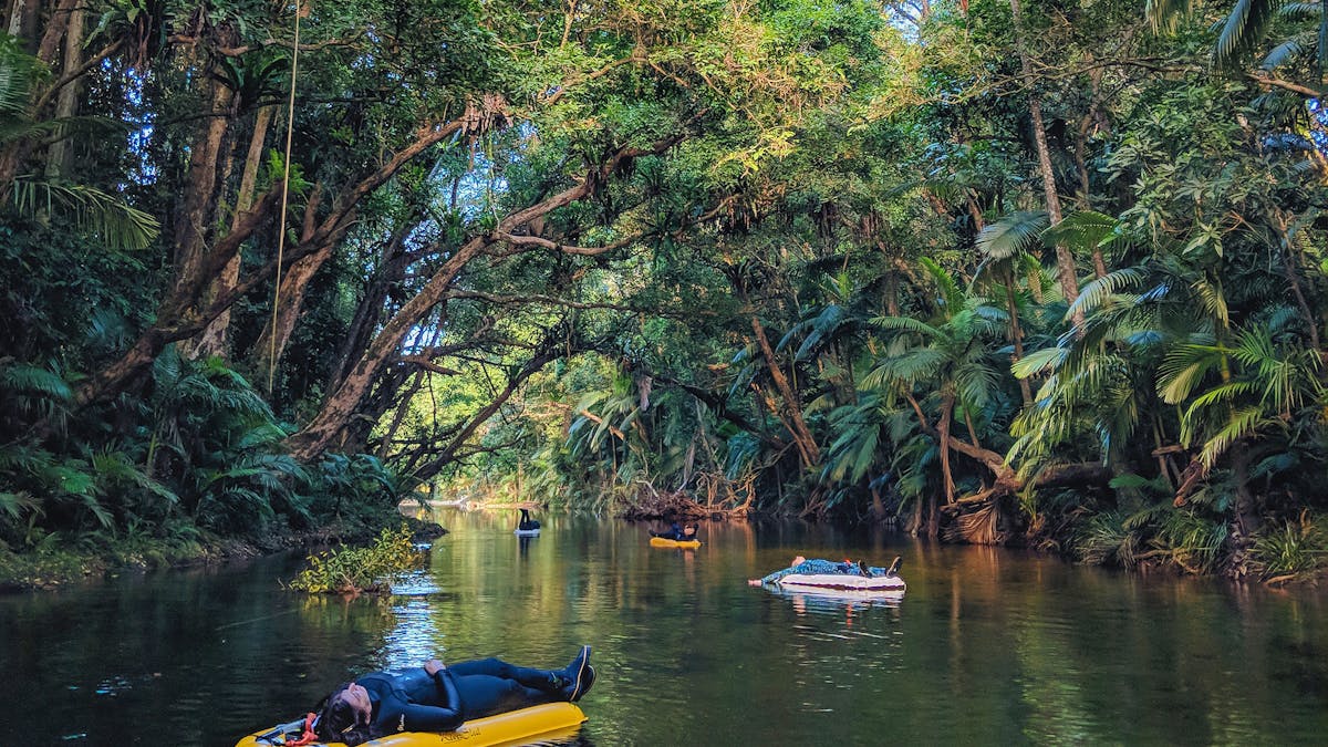River Drift Snorkelling - Mossman Gorge