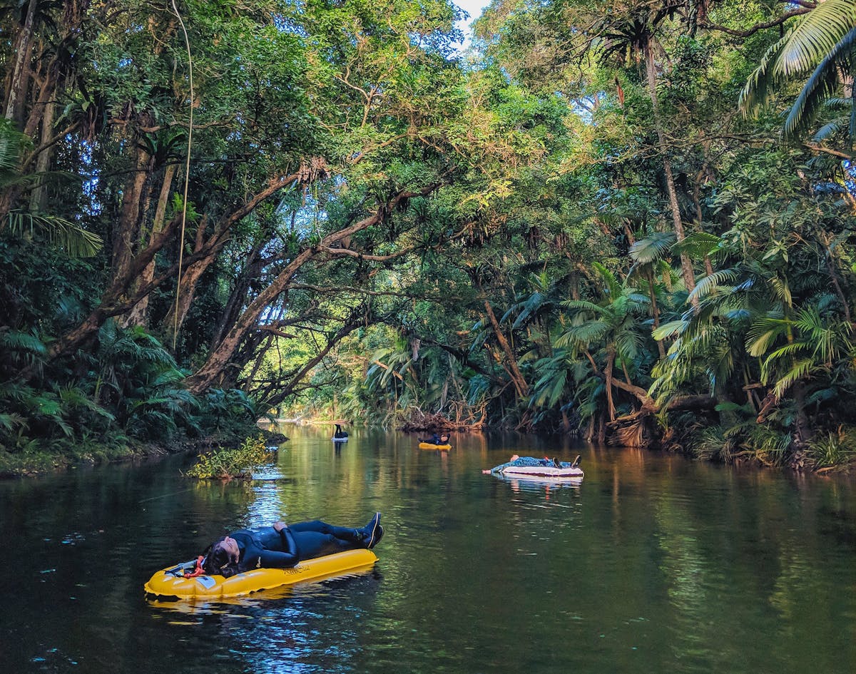 River Drift Snorkelling - Mossman Gorge