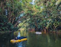 River Drift Snorkelling - Mossman Gorge