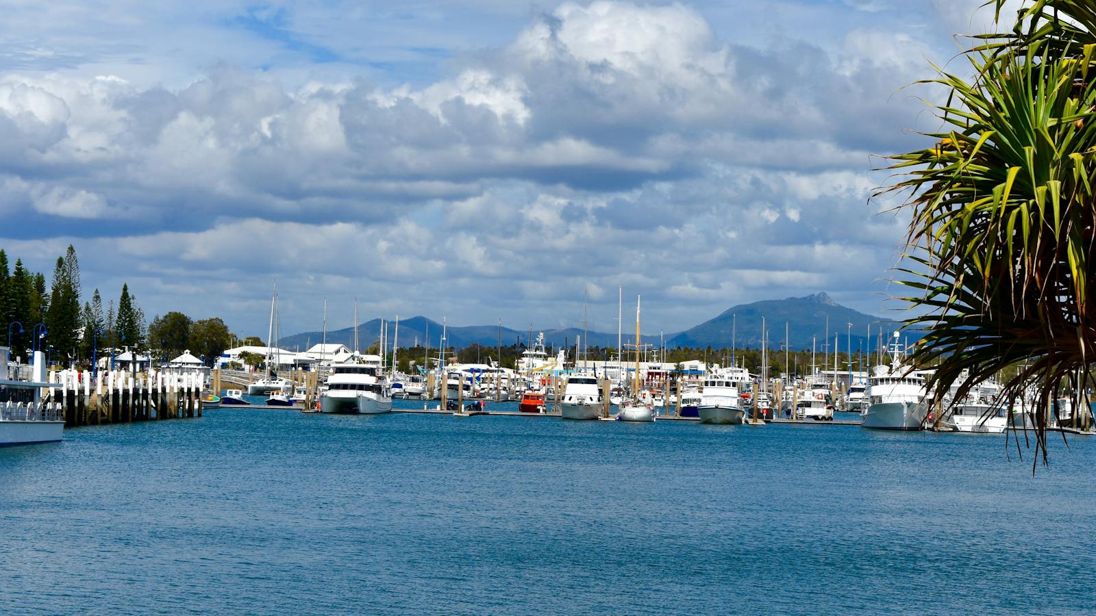 Gladstone Marina