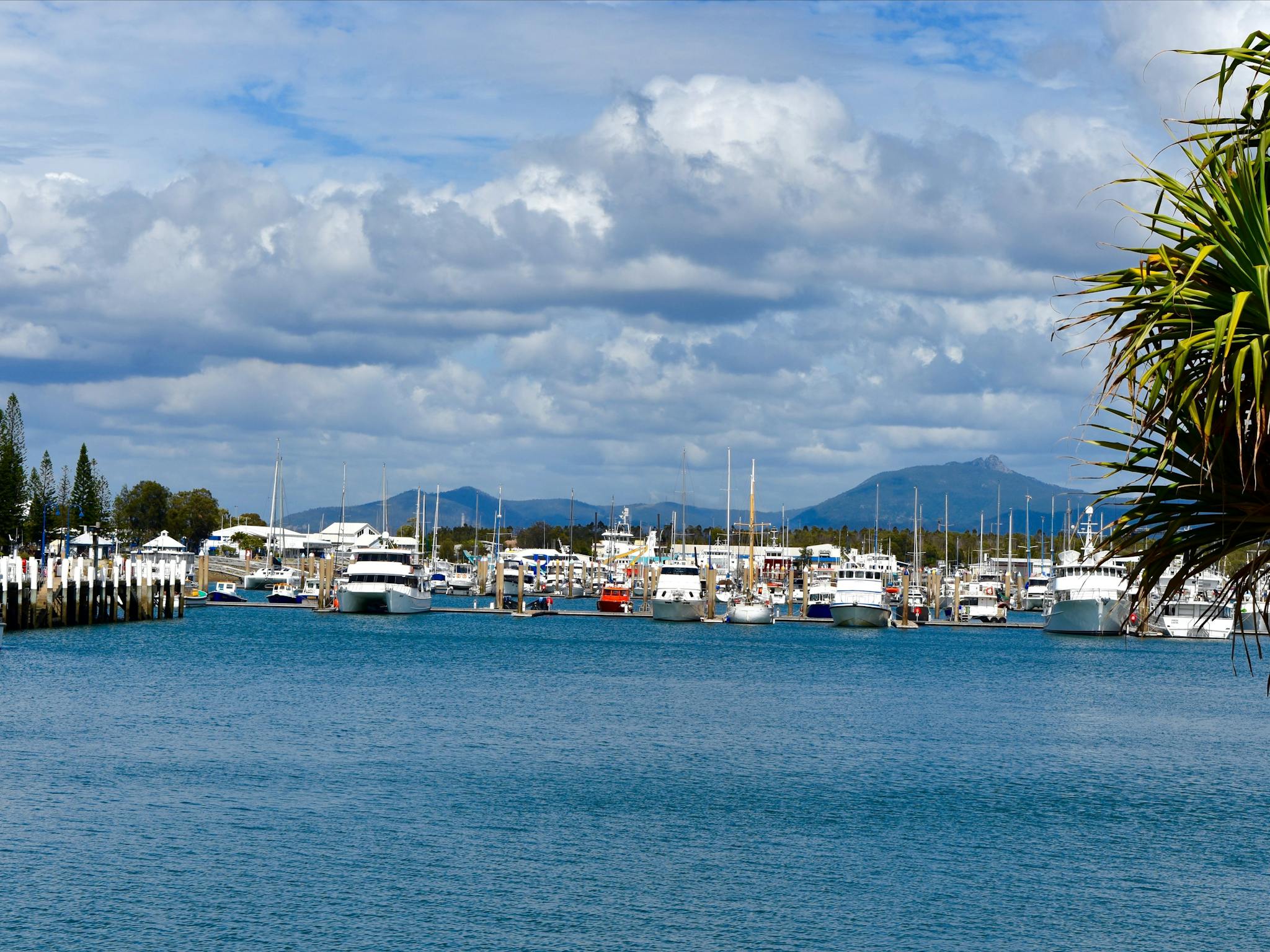 Gladstone Marina