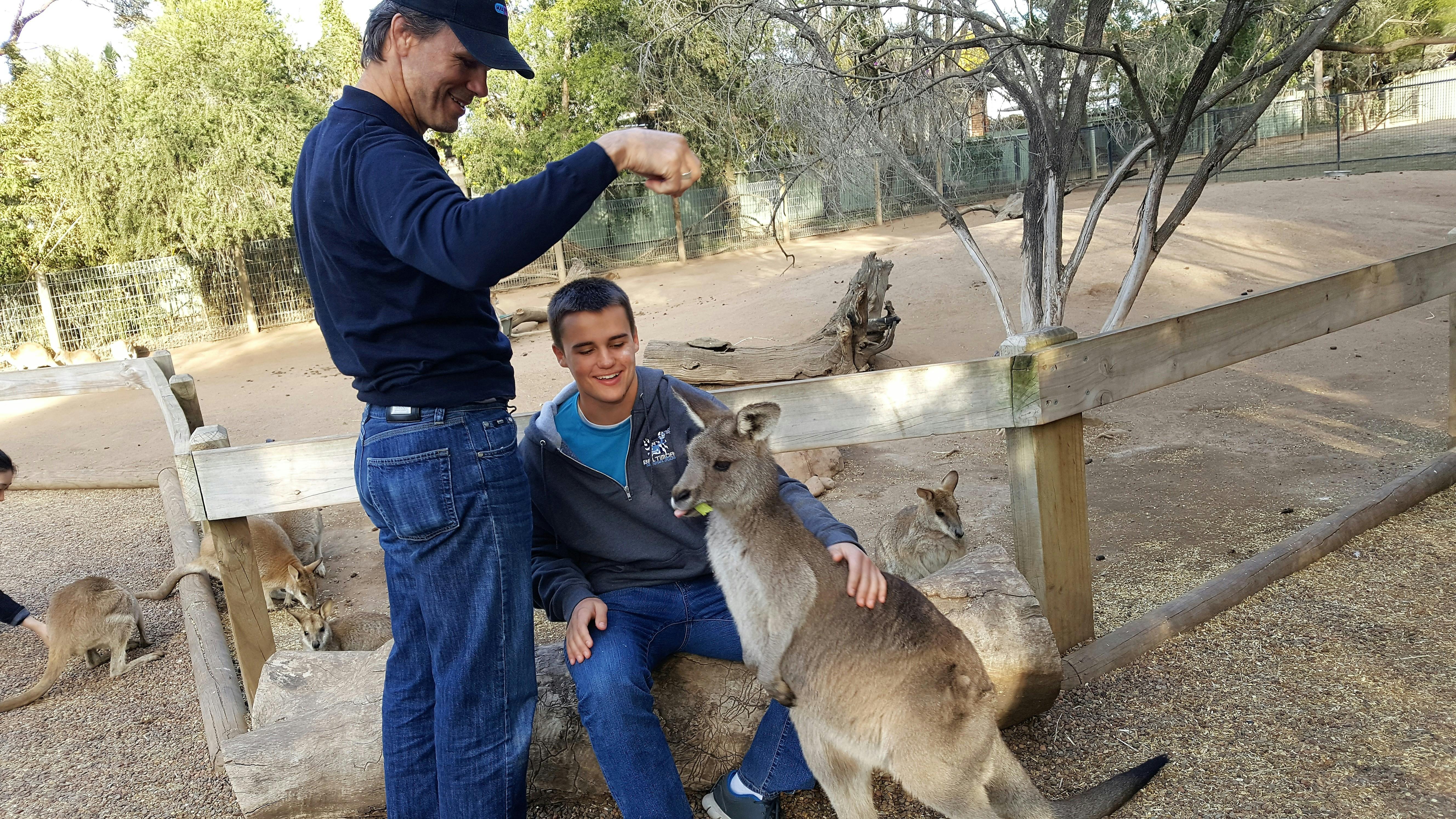 Featherdale Wildlife Park, pat and hand feed kangaroo's, fully inclusive blue mountains private tour