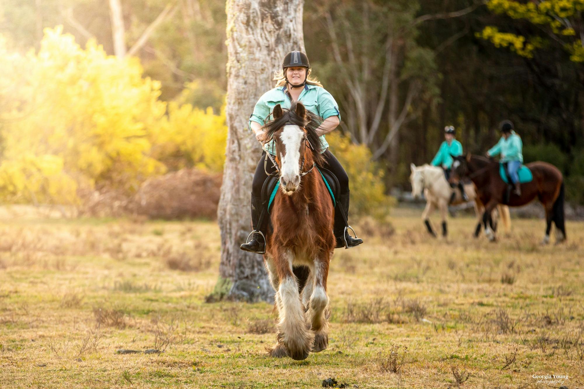Lady riding horse in paddock