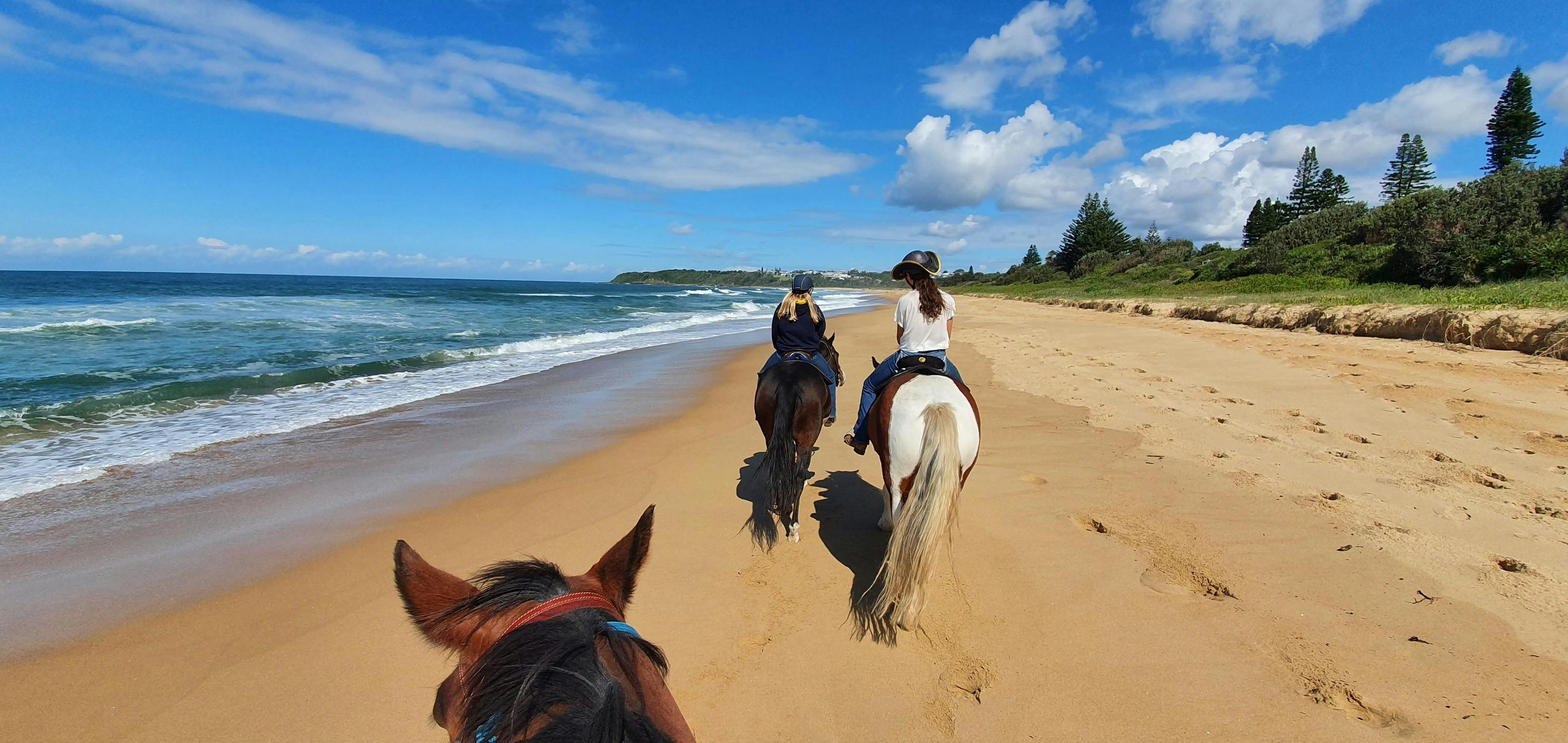 2 horses on horse friendly Diamond Beach