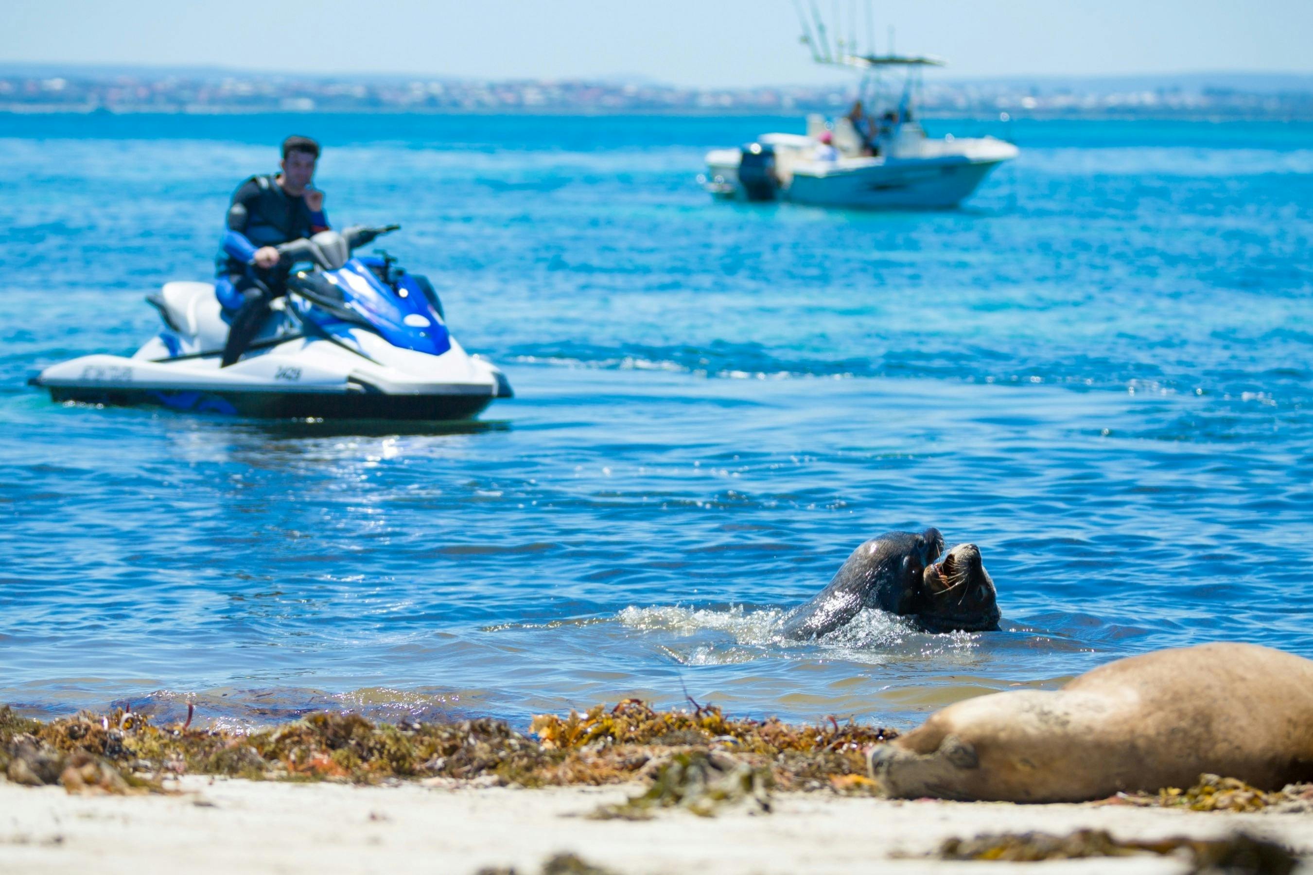 Jet Ski Tours, Rockingham, Western Australia