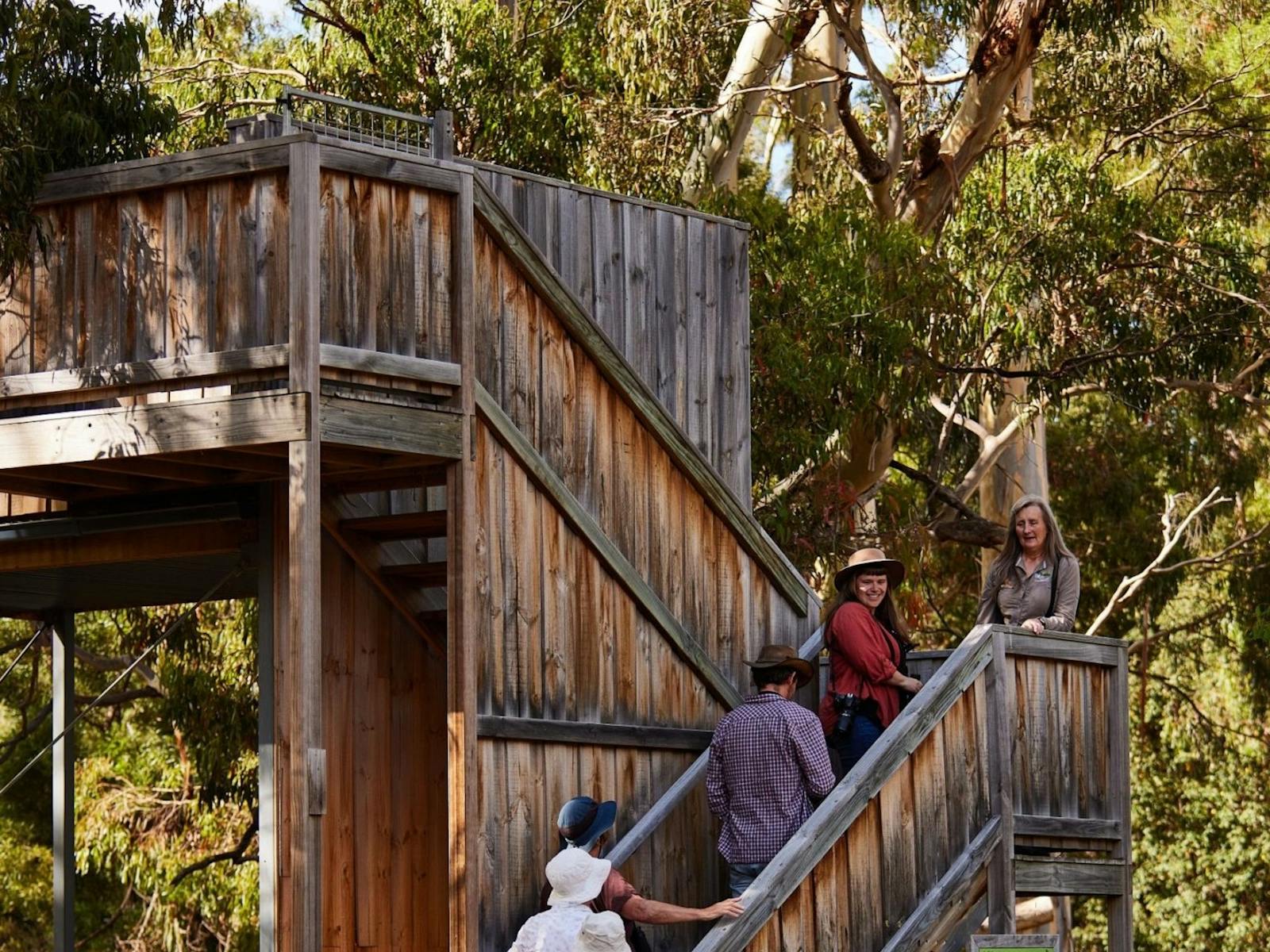 Bruny Island