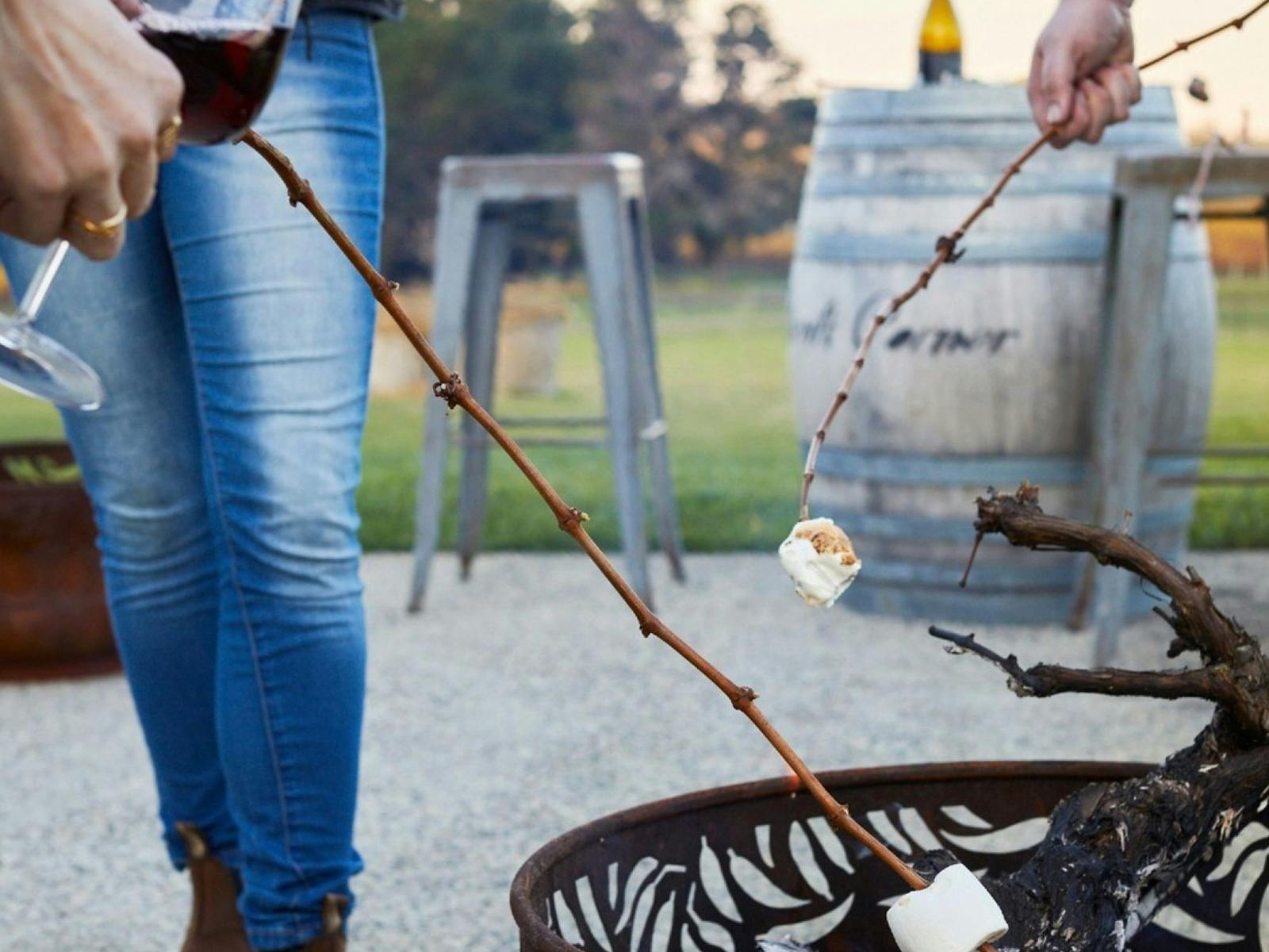 Fire and toasted Marshmallows