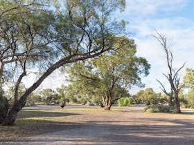 Powered sites for the largest caravans and vehicles