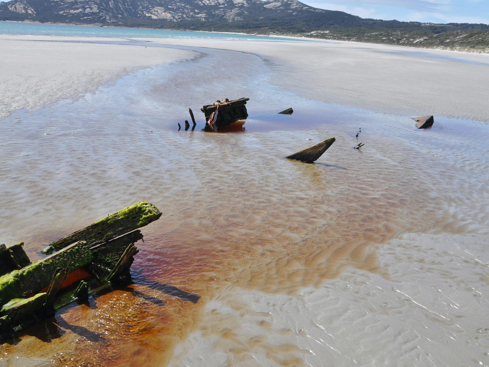 Killiecrankie Bay beach combing Flinders Island Tasmania