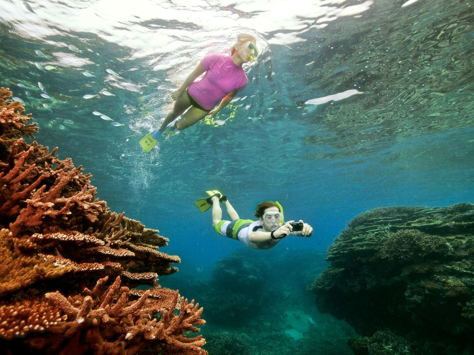 Two snorkelers underwater by a reef Two snorkelers underwater by a reef