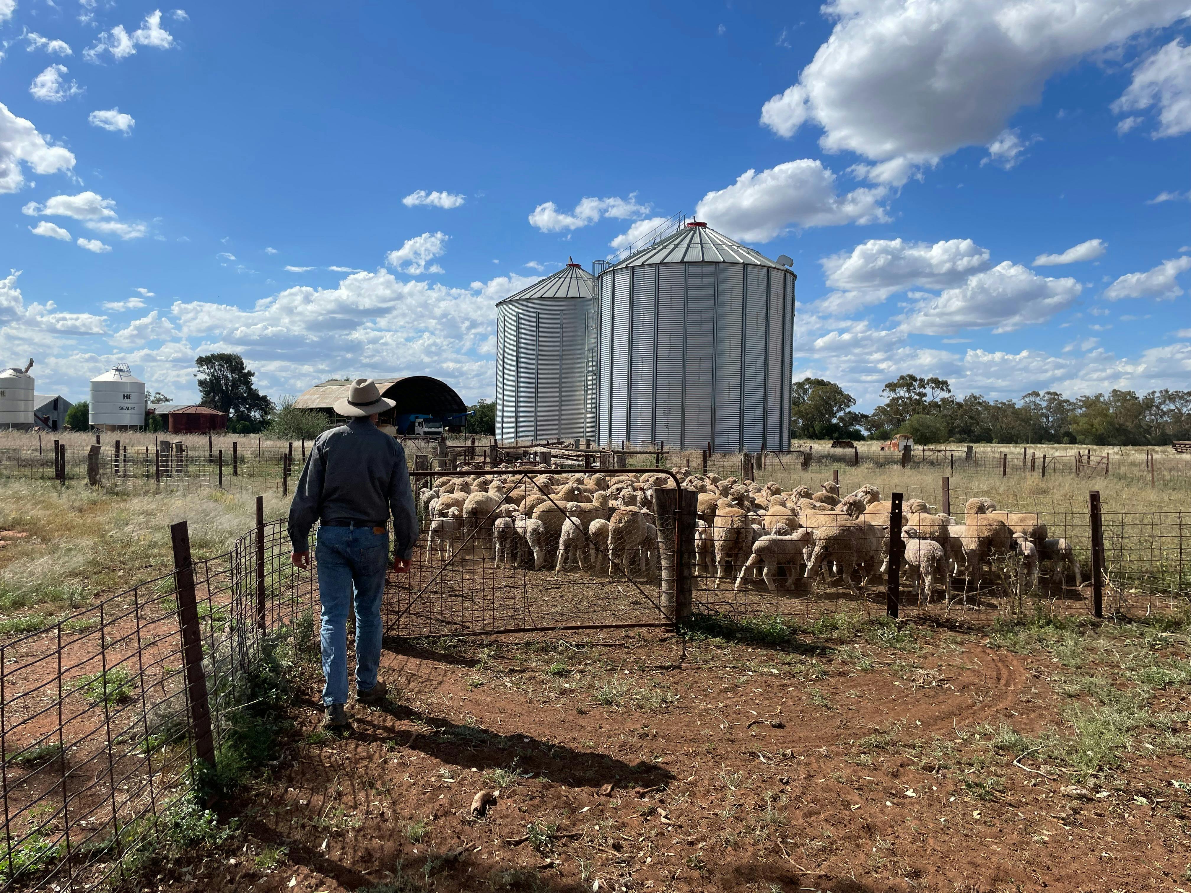 Long Lunch in the Bush