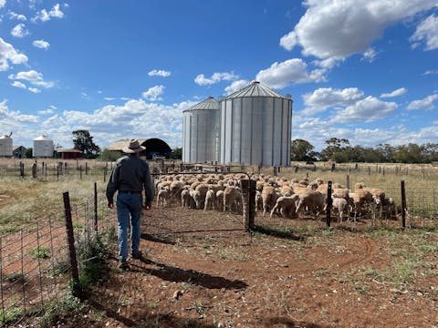 Long Lunch in the Bush